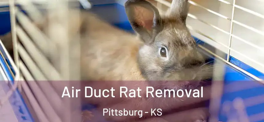  Air Duct Rat Removal Pittsburg - KS
