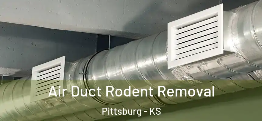 Air Duct Rodent Removal Pittsburg - KS