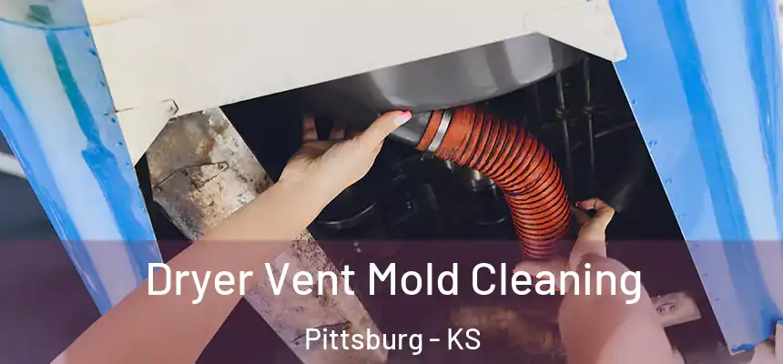  Dryer Vent Mold Cleaning Pittsburg - KS