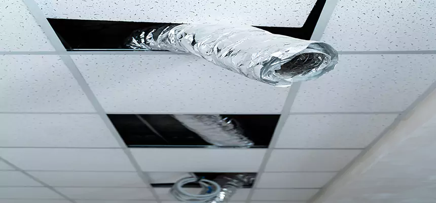 Affordable HVAC Sanitizing After Pest Removal in Pittsburg