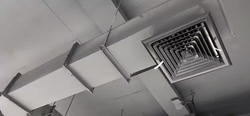 Our Pest Removal From Ducts Services in Pittsburg, KS