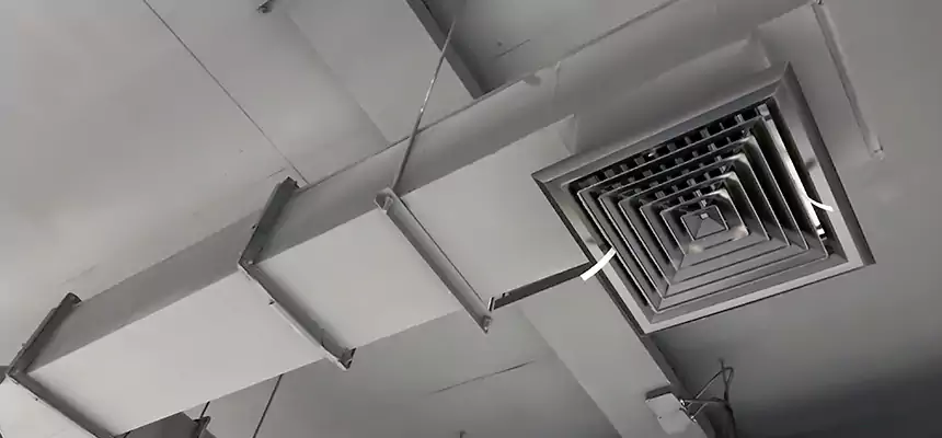 Our Rodent Droppings In Vents Services in Pittsburg, KS