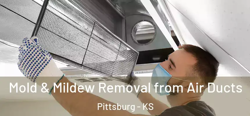 Mold & Mildew Removal from Air Ducts Pittsburg - KS