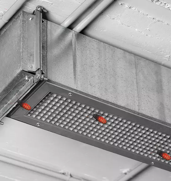 About Air Duct Cockroach Removal in Pittsburg, KS