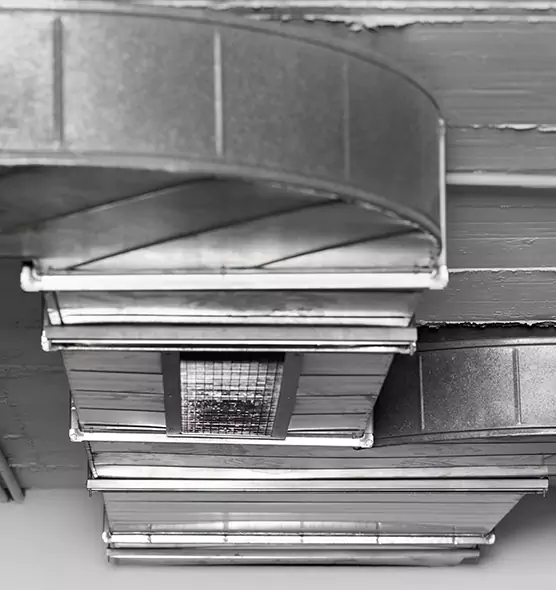 Professional Air Duct Pest Removal in Pittsburg, KS