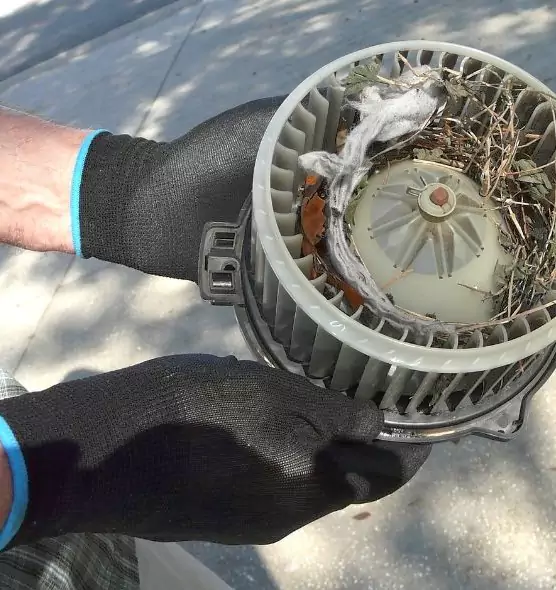 About Air Duct Rat Removal in Pittsburg, KS