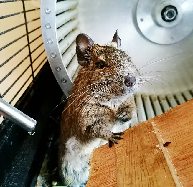 Why Homeowners & Businesses Trust Us Pittsburg, KS?